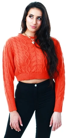 Brave Soul Orange Chunky Knit Crop Jumper