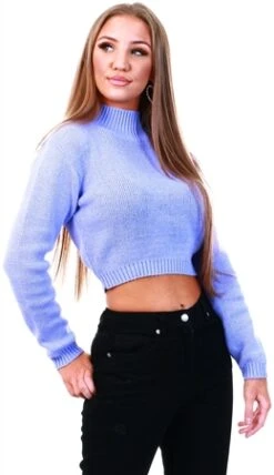 Glamorous Lilac High Neck Crop Knit Jumper