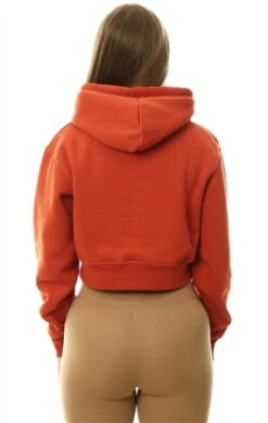 Nicce Ginger Ersa Cropped Hoodie -Noisy May Shop 27256 3