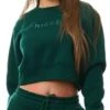 Nicce Ivy Green Ersa Cropped Sweat -Noisy May Shop 27313