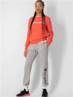 Champion Pink Big Logo Crewneck Sweatshirt -Noisy May Shop 28137 2